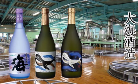 B2-25176-mo2026／＜2026母の日ギフト＞大海酒造 　720ml　3本セット