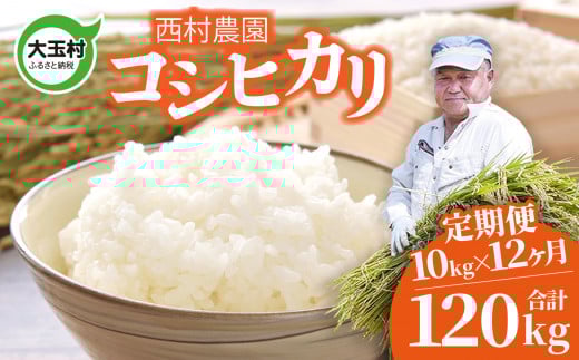新米 予約 定期便 米 コシヒカリ 120kg ( 10kg × 12 ヶ月 )《 令和7年 》 福島県 大玉村 西村農園  ｜ こしひかり 精米 定期 12回 コメ ｜ nm-kh10-t12-R7