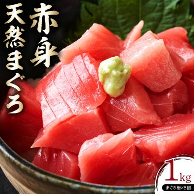 ふるさと納税 川崎市 天然 マグロ 赤身 1kg ( 200g × 5柵 ) かわさき北部市場まぐろ仲卸