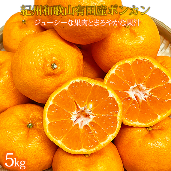 紀州和歌山有田産ポンカン　５ｋｇ［2027年2月上旬頃から2027年2月下旬頃に順次発送］［UT20］