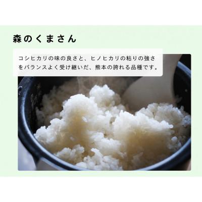 ふるさと納税 玉名市 【毎月定期便】熊本県玉名市産　森のくまさん 10kg(5kg×2袋)全6回 |  | 01