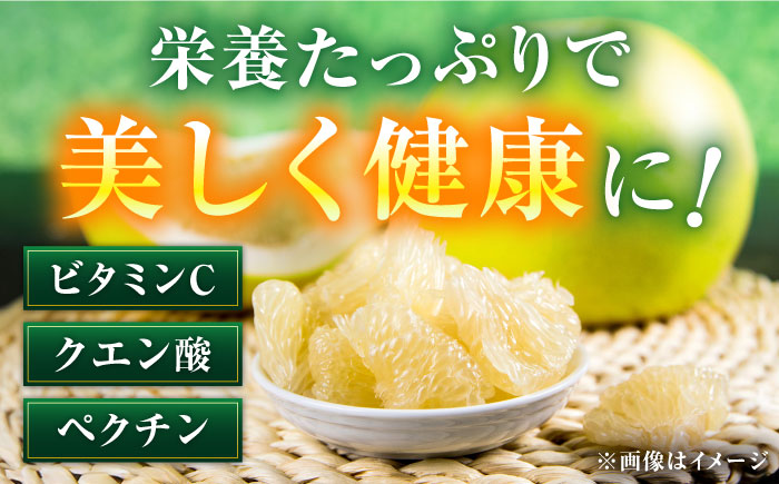 高知県産 水晶文旦 約3kg 6玉入 贈答用〈2026年9月下旬～11月上旬頃発送〉 /  高知 水晶 文旦 柑橘 果物 フルーツ くだもの 贈答 お中元 お歳暮 ギフト ぶんたん 【株式会社　四国健