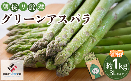 2026年産 柔らかくてみずみずしい朝取りグリーンアスパラ(春芽)3L 1kg【配送不可地域：離島】 AF028 | アスパラガス