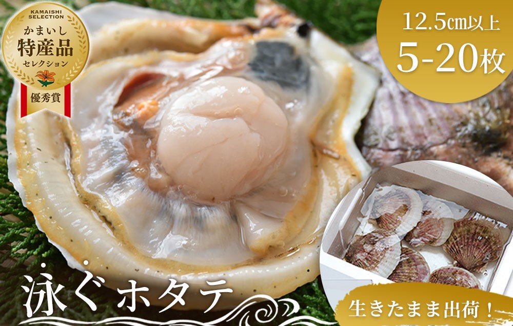 
                  【選べる枚数！】 泳ぐホタテ (12.5cm以上) 5枚 10枚 15枚 20枚 ヤマキイチ商店
                