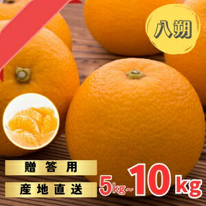 【ふるさと納税】 完熟木なりハッサクみかん 贈答用 秀品 5kgまたは10kg（M~3Lサイズ）【2026年3月上旬から3月下旬までに順次発送】/ みかん ハッサク 八朔 柑橘 果物 フルーツ 贈答