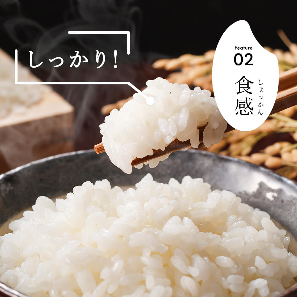 令和7年産 新潟県産 こしいぶき 8kg 精米 新米 お米 白米 コシヒカリ こしひかり おすすめ 人気 こめ コメ 新潟 見附 見附市 7年 2025年産 ふるさと納税 諸長