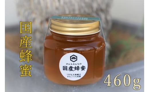 けんちゃんちの国産蜂蜜　460g(瓶)《30日以内に出荷予定（土日祝除く）》---tsm_mkf3_30d_25_9500_460g---