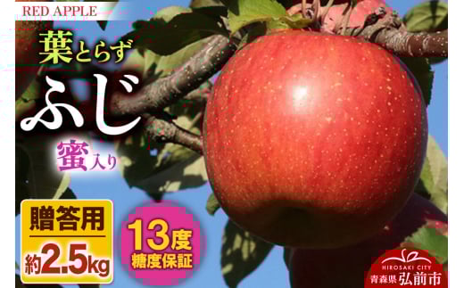 りんご 蜜入り 13度糖度保証【贈答用】葉とらずふじ 約2.5kg