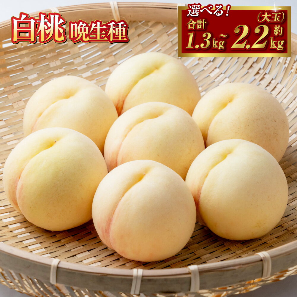 【ふるさと納税】＜選べる容量＞桃 2025年 先行予約 白桃 晩生種 5～6玉（約1.3kg）6～7玉（大玉・約2.2kg）もも モモ 岡山県産 国産 フルーツ 果物 ギフト　 果物 デザート スイーツ フルーツ 果肉 美味しい 甘い 柔らかい 上品【2025年8月上旬～9月下旬 発送予定】