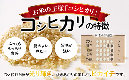 【先行予約】【令和6年産 新米】【3ヶ月定期便】福井県大野市産 JGAP認証 コシヒカリ「あかね」（玄米）10kg×3回　計30kg