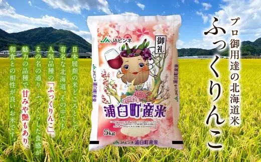 〈 令和8年産 〉浦臼産 ふっくりんこ 精白米 5kg お米 米 こめ コメ 白米 白飯 飯 ご飯 おにぎり ブランド米 ブランド 国産 北海道産 和食 魚料理 【 2026年11月上旬より順次発送 