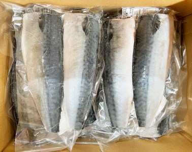 塩さばフィレ 24枚入(真空パック入)/さば サバ 鯖 フィレ 切り身 切身 魚 海鮮 焼き魚 おかず【uot742B-1】