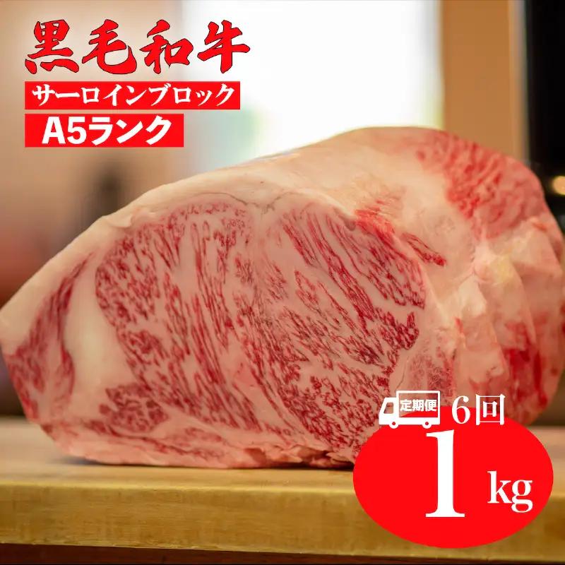 【全6回定期便】黒毛和牛 A5ランク サーロインブロック 1kg 冷蔵 国産牛 ステーキ ブロック肉