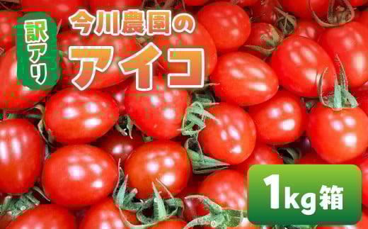 【ふるさと納税】【先行予約】今川農園のミニトマト 訳ありアイコ 1kg 先行予約受付 期間限定 季節限定 野菜 国産 完熟 やさい フルーツ トマト 完熟 千果 ミニトマト イエロー プチトマト イエロートマト プチ お弁当 贈り物 おやつ サラダ 送料無料 産地直送
