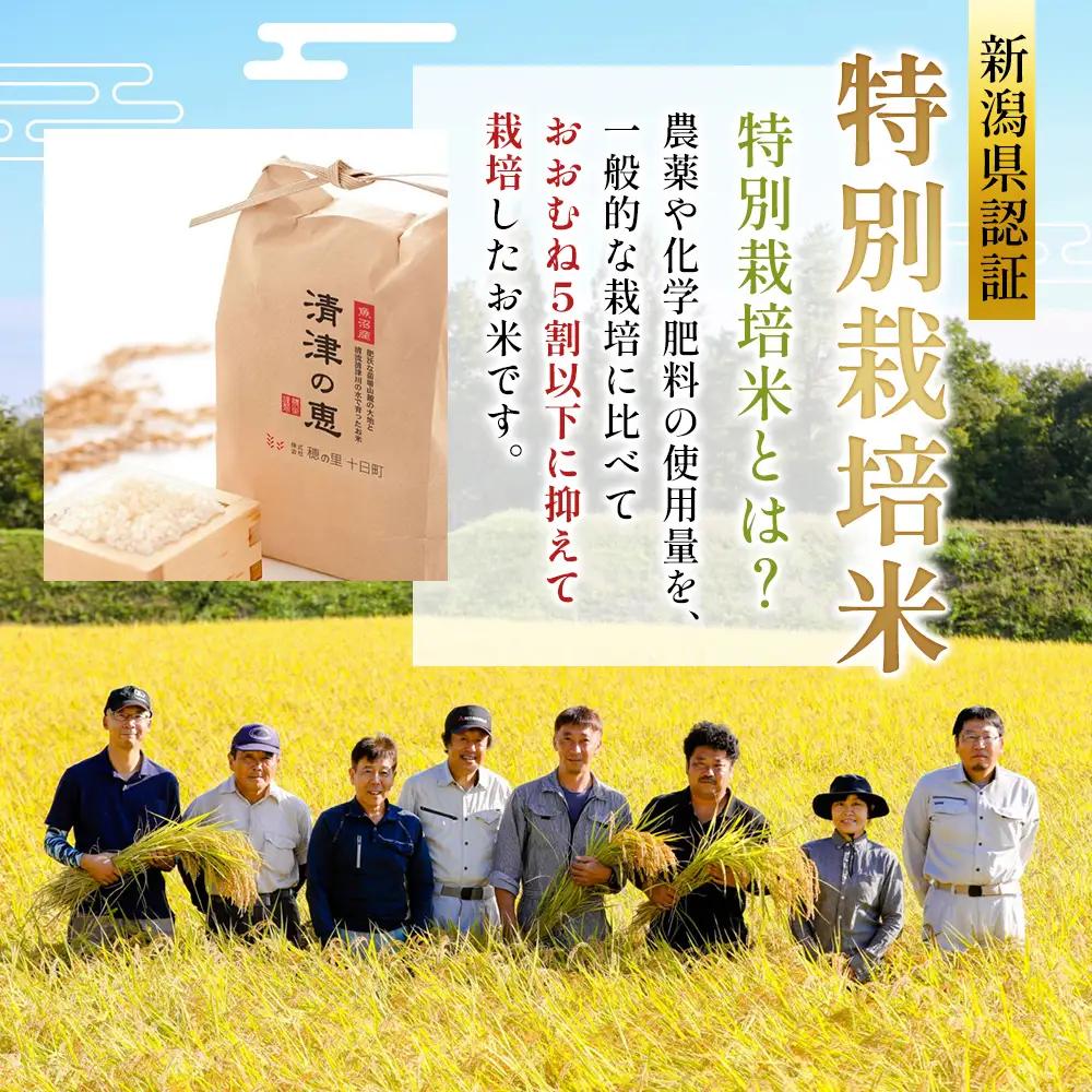 【令和8年産 先行予約】魚沼産特別栽培米コシヒカリ［清津の恵］精米10kg（5kgx2袋）