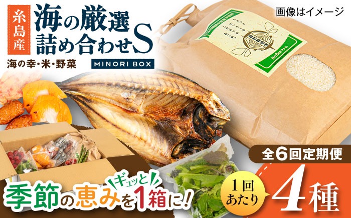 【全6回定期便】糸島産 魚 米 野菜 果物 厳選詰め合わせ MINORI BOX Sサイズ 糸島市 / emma.Inc / 米 魚 野菜 詰め合わせ[AOP021]