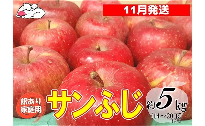 【11月発送】白熊 訳あり家庭用 サンふじ 約5kg 糖度13度 【青森りんご 果物 フルーツ 食後 デザート シャキシャキ ジューシー りんごの王様 】