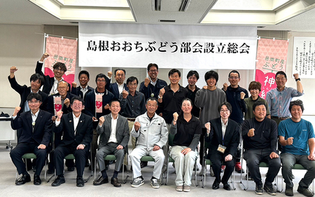 島根県限定！幻のぶどう　”神紅（しんく）” 1房　500ｇ 