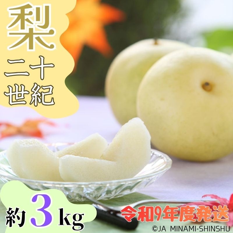 
                  9-J33 【南信州産】20世紀梨 太鼓判 約3kg
                