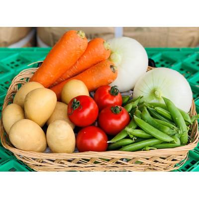 ふるさと納税 牧之原市 【5品】畑から採りたて発送!静岡厳選野菜セット