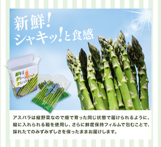 アスパラガス L サイズ 1kg (500g×2) アスパラ 北海道