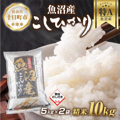 ふるさと納税 十日町市 【無地熨斗】魚沼産 コシヒカリ 5kg×2袋 計10kg(お米の美味しい炊き方ガイド付き)