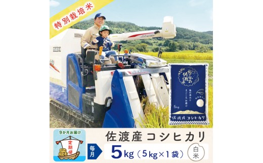 【新米予約 9か月定期便】佐渡島産コシヒカリ 白米5Kg 令和7年 特別栽培米 農家直送