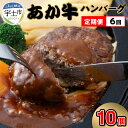 【ふるさと納税】定期便 6回 ハンバーグ 150g 10個 1.5kg 手作り 牛肉 あか牛 和牛 褐毛和牛 国産和牛 熊本産 冷凍 肉三代目 ジューシー 柔らか 美味しい 肉感 おかず 加工品 お取り寄せ グルメ 加熱調理 送料無料【熊本県宇土市】