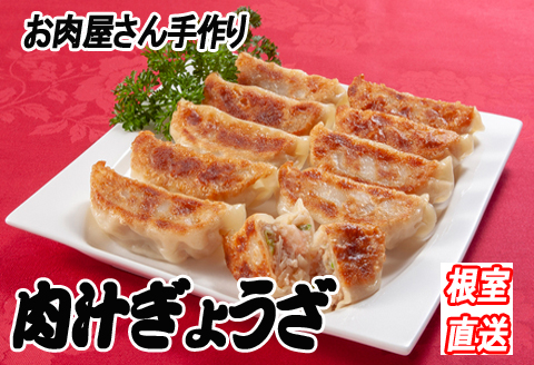 餃子25個×3P B-36041