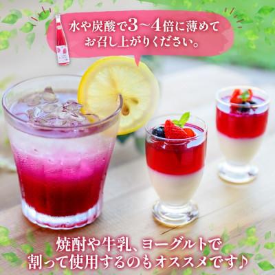 ふるさと納税 洞爺湖町 北海道 とうやの赤しそジュース 2本入り 希釈用 ピュアフーズとうや 洞爺湖町 |  | 01