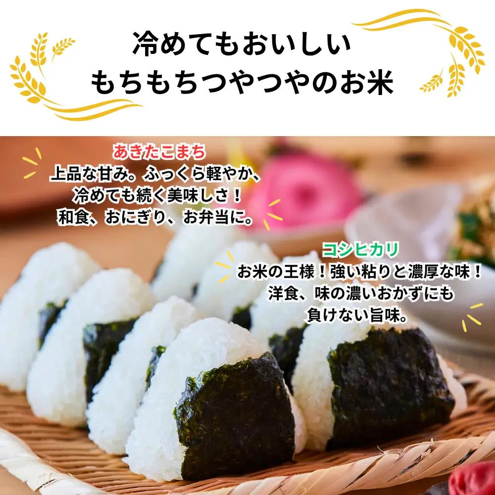 《先行予約 2026年10月発送》【3回定期便】白米 5kg 令和8年産 コシヒカリ 岡山 「おおがや 芝桜米」 G-af-BFCA