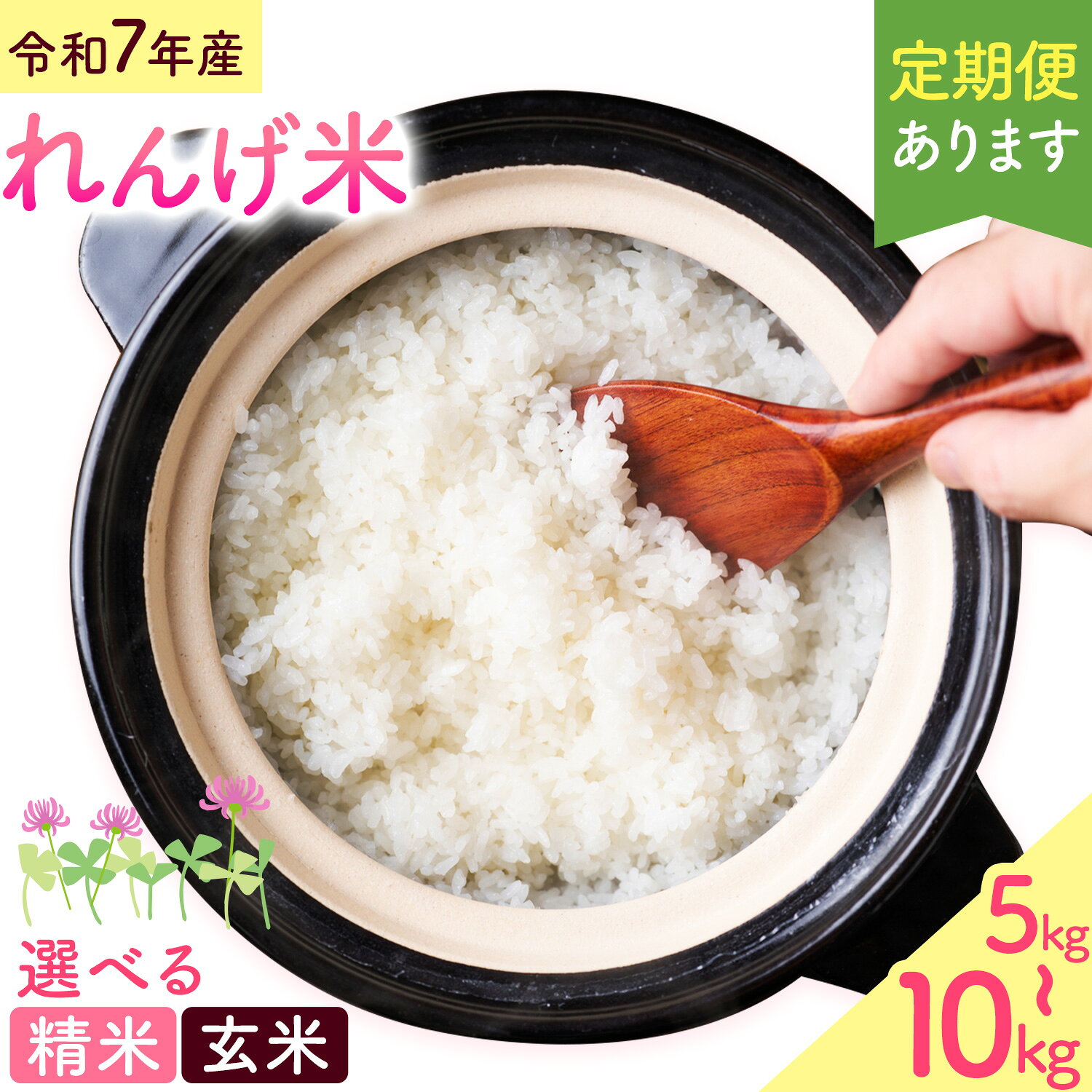 【ふるさと納税】熊本県菊池市産のれんげ米 5kg 10kg 定期便あり《出荷時期をお選びください》選べる 精米方法 お米 白米 玄米 精米 レンゲ米 熊本県産 九州産 送料無料 令和7年産
