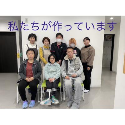 ふるさと納税 直方市 漆喰の花「ラコッタ」シャクヤク　水色B |  | 03