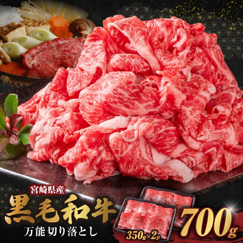 【ふるさと納税】和牛おまかせ万能切落し700g 黒毛和牛 和牛 国産牛 牛肉 切り落し霜降り 赤身 混在 おまかせ肉 家庭用 大容量 小分け 冷凍 有田牧場 エモ―牛 生産者直送 ブランド牛 受賞牛 品評会受賞 生産者部門 最優秀賞 宮崎県 高千穂町 ふるさと納税 返礼品