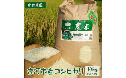 【令和7年産】古河市産 コシヒカリ10kg【倉持農園】 | 米 こめ コメ こしひかり コシヒカリ 10キロ 古河市産 茨城県産 贈答 贈り物 プレゼント 茨城県 古河市 直送 農家直送 産地直送 送料無料 _AN01 ※2025年11月上旬頃より順次発送予定