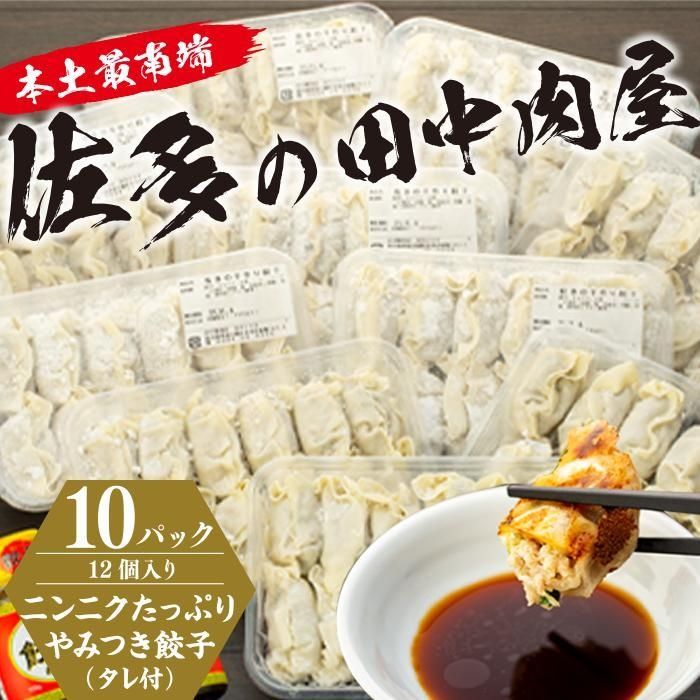 【ふるさと納税】餃子 大容量 120個 ( 12個入り × 10パック ) ニンニクたっぷり 手作り 餃子 | 手作り餃子 ぎょうざ ぎょーざ 鹿児島 惣菜 食品 冷凍 国産 肉 豚肉 タレ付き お取り寄せ グルメ 人気 おすすめ 手作り 「田中精肉店のニンニクたっぷりやみつき餃子」