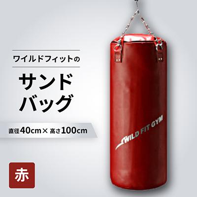 ふるさと納税 茨木市 ワイルドフィットのサンドバッグ　ジム仕様　【赤】φ40×100cm(回転式チェーン付き)
