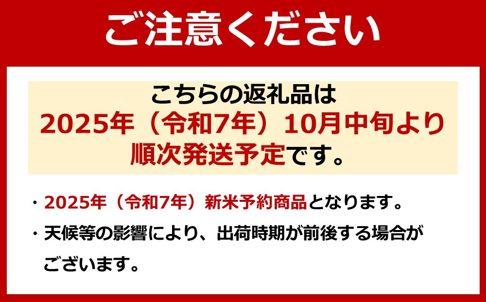 【令和7年産 新米予約】南魚沼産コシヒカリ（白米）【5kg×2】【令和7年10月中旬以降発送】【米 お米 こしひかり 南魚沼 米 白米 こめ 新潟 米】