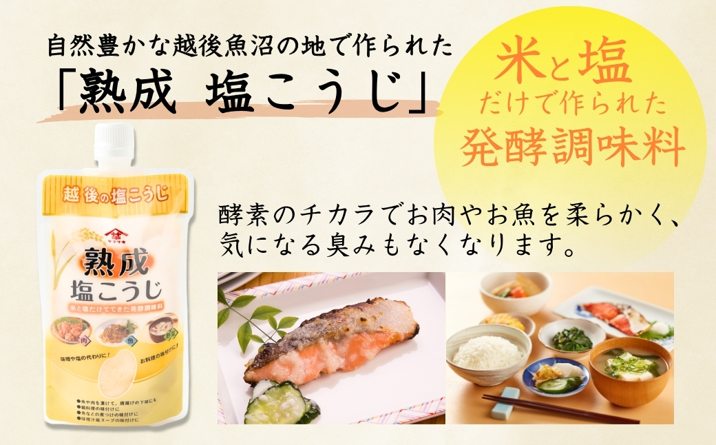 山崎醸造 塩こうじ8個セット (人気の4種類×各2個) 塩麹 万能調味料 山崎醸造 【0002-0237-01】
