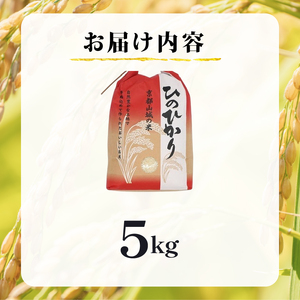 京都山城産ヒノヒカリ5kg 令和7年産　【米】