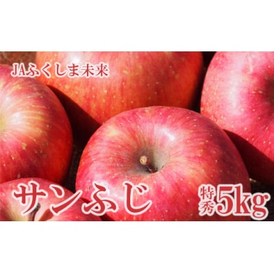 りんご「サンフジ」 約5kg 特秀14玉～18玉【2024年度発送】No.2509
