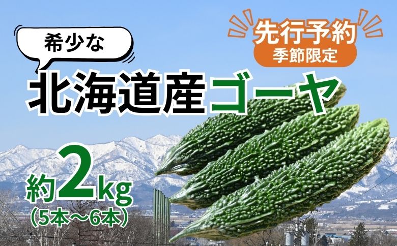 【先行予約/季節限定】希少な北海道産ゴーヤ！奈井江町の寒暖差が育んだまろやかな苦み　約２kg（5～6本）