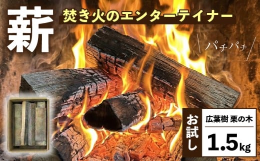 【希少】 薪 お試し1.5kg 栗の木 広葉樹 端材 エコ 再利用 焚き火 キャンプ リフレッシュ アウトドア まき 木 木材 岩手県 三陸 気仙 大船渡