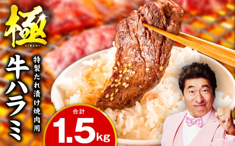 
                  【スピード発送】牛肉 ハラミ 1.5kg 小分け 300g×5P【氷温熟成×特製ダレ 味付き 牛肉 訳あり 不揃い 焼肉 BBQ 野菜炒め 圧倒的企業努力】
                