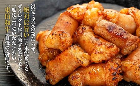 牛肉 黒毛和牛 ホルモン 丸腸(マルチョウ) 500g