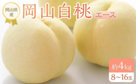 2026年 先行予約 岡山県産 白桃 エース 約4kg（8～16玉）｜ もも もも 桃 桃