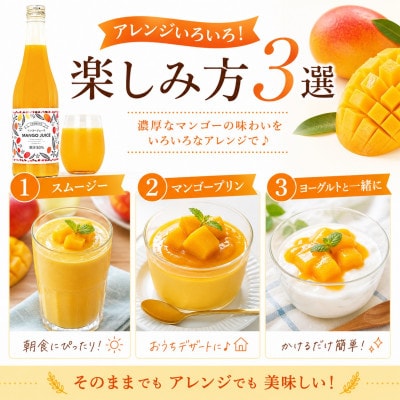 濃厚マンゴージュース 500ml×2本セット