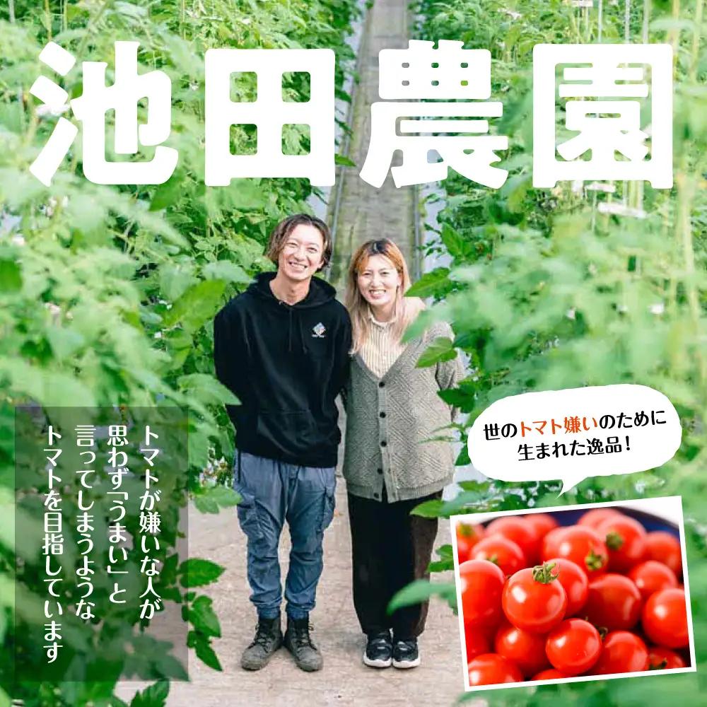 ミニトマト 【先行予約】 嫁がうまいと言う日まで 800g 【2026年12月上旬より順次発送】 ミニトマト