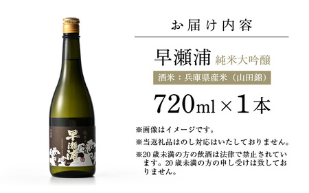 【早瀬浦】純米大吟醸 720ml × 1本【入手困難 日本酒 地酒 福井 美浜 早瀬 フルーティ 男酒 硬水 ミネラル 希少 ご褒美 家飲み 就職祝い 転職祝い ハレの日】 [m16-b015]