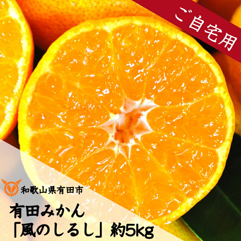 【ふるさと納税】有田みかん「風のしるし」訳あり 訳アリ 約5kg（A1051-1）送料無料 産地直送 ご自宅用 ご家庭用 フルーツ 果物 本場 和歌山 有田 有田市 ありだ みかん 甘い 濃厚 コク ジューシー S M L s m l 先行予約